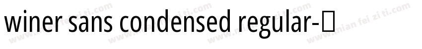 winer sans condensed regular字体转换